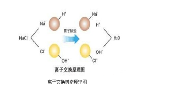 anion-exchange resin